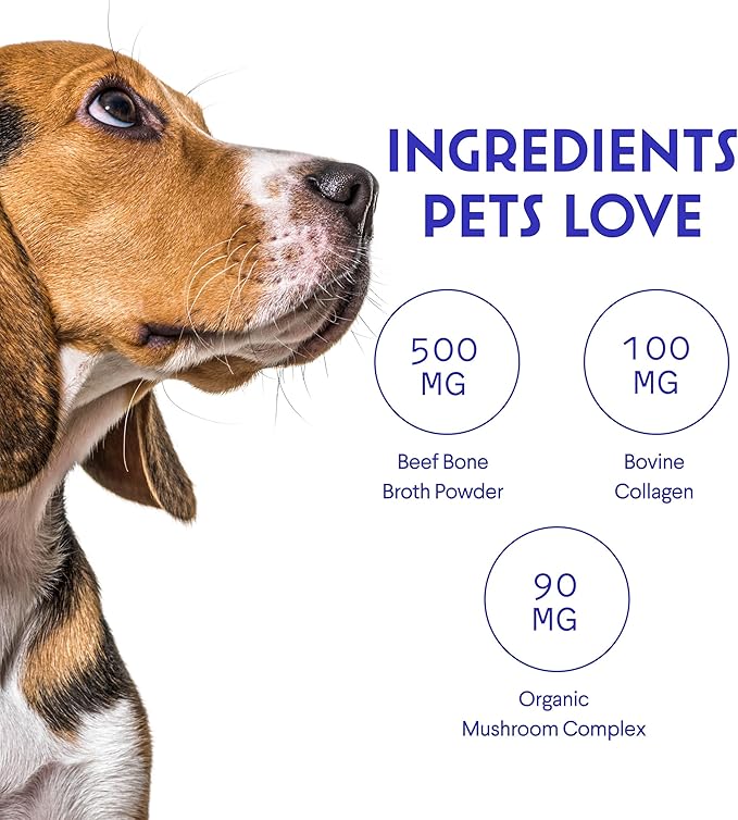 Bone Broth for Dogs – Bone Broth Powder with Organic Mushrooms & Collagen for Digestion, Immunity & Joint Support – Tasty Beef Supplement for Dogs of All Ages, Sizes & Breeds – 3.20 oz-PawvioPets