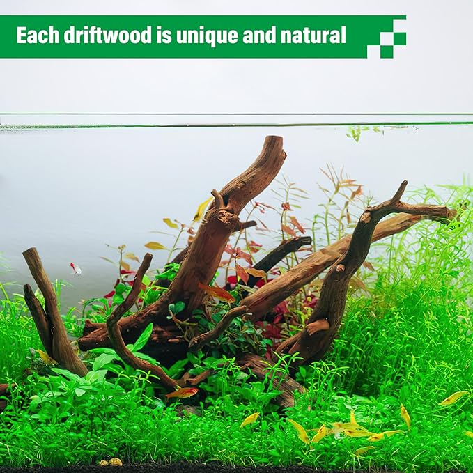Driftwood for Aquarium Natural Aquarium Wood for Aquascaping Fish Tank Decorations Reptile Tank Decor (Natural Driftwood 6-10" (Pack of 3)+Protein Cotton)-PawvioPets