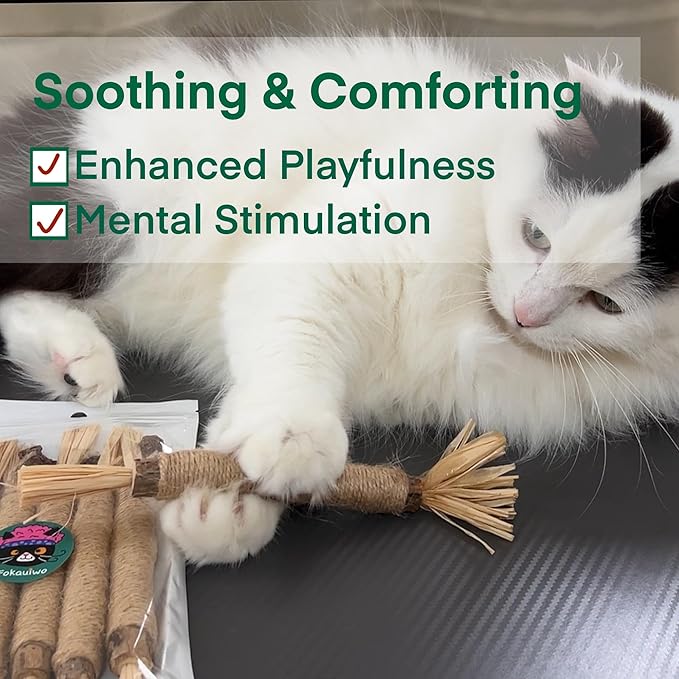 8.66 inches Silvervine Sticks Cat Toys, Natural Catnip Kittens Chew Toy for Teeth Cleaning,Big Catmint Blend Stick, Dental Kitty Chews for Indoor(5 Pack)-PawvioPets