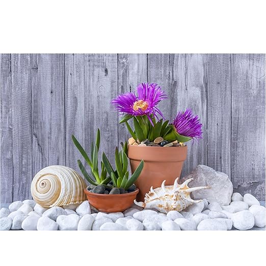 40lbs White River Rocks for Landscaping, 3-4 Inch Large Natural Unpolished Bulk Pebbles, Hand-Picked Premium Stones for Garden Design Fish Tank, Pathways and Backyard-PawvioPets