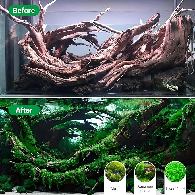 Driftwood for Aquarium Natural Aquarium Wood for Aquascaping Fish Tank Decorations Reptile Tank Decor (Natural Driftwood 12-16" 1 Pack+Protein Cotton)-PawvioPets
