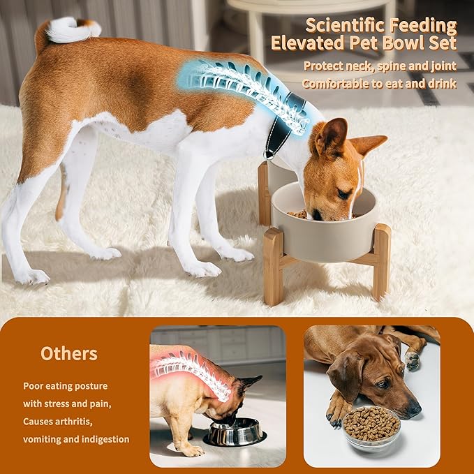 Elevated Ceramic Dog Bowl Set - Raised Dog Bowls with Non-Slip Bamboo Stand - Dog Food and Water Bowl Set - Double Dog Feeding Bowls - Suitable for Small and Medium Dogs - 28.74 OZ - 3.6 CUPS - 850 ML-PawvioPets