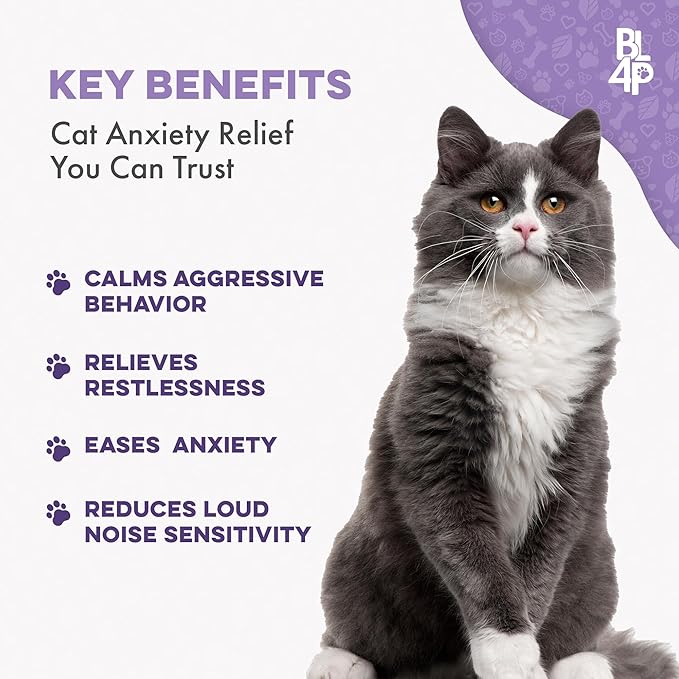 Anti Aggression for Cats Calming Remedy, A Natural Diffuser and Cat Calming Aid for Stress, Spiteful Spraying, Scratching & Territorial Behavior, Non-Drowsy, 400 Odorless, Tasteless Pills-PawvioPets