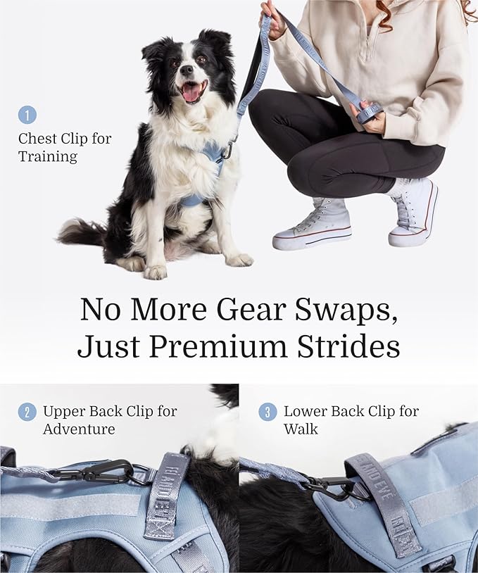 2025 New Edition, Fei & Eve MagEase Dog Harness - 3-Second Magnetic Buckles | 3-Point No-Pull Control | Heavy-Duty 900D Nylon | Dual Safety Handles | Breathable Mesh | Adjustable Fit | Medium, Blue-PawvioPets