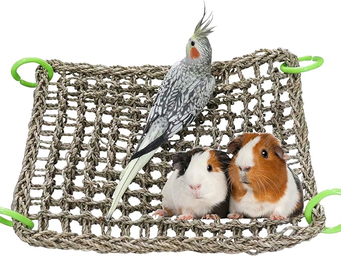 16 x 12 Inches Bird Seagrass Mat, Natural Seagrass Woven Net, Bird Hammock Mat with Hooks, Bird Cage Accessories, Climbing Rope Ladder Chew Toys for Cockatiel Hamster Guinea Pig Rats Hamster Parakeet-PawvioPets