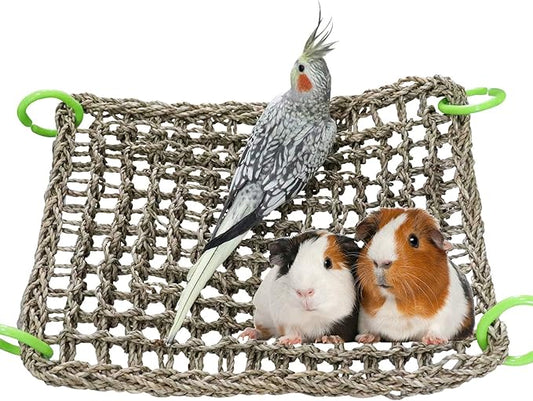 16 x 12 Inches Bird Seagrass Mat, Natural Seagrass Woven Net, Bird Hammock Mat with Hooks, Bird Cage Accessories, Climbing Rope Ladder Chew Toys for Cockatiel Hamster Guinea Pig Rats Hamster Parakeet-PawvioPets