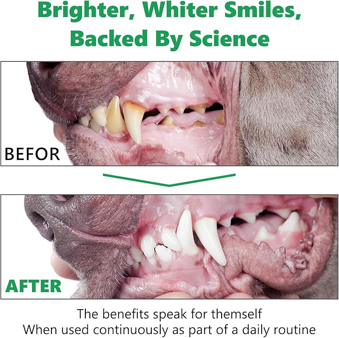 Dog Dental Powder, 120g Teeth Cleaning Powder for Dogs, Breath Freshener with Probiotics Improve Bad Breath, Remove Plaque & Tartar - Pets Dental Care Supplement for Dogs - 4.23 OZ/Scoop Included-PawvioPets