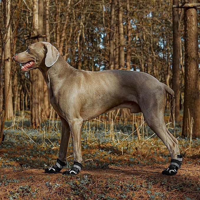 Dog Shoes, Waterproof Dog Boots & Paw Protectors with Anti-Slip Sole, 4pcs/Set Pet Dog Booties, Reflective Dog Shoes for Small Medium Large, Winter Snowy Summer Hot Pavement (Black, 3# (XS))-PawvioPets