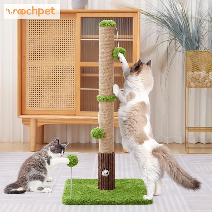 33" Tall Cat Scratching Post for Indoor Cats, Premium Sisal Scratch Posts with Cat Toys and Fun Mouse Holer for Cats at All Ages, Scratcher Tree with Reinforced Stable Base (Green)-PawvioPets