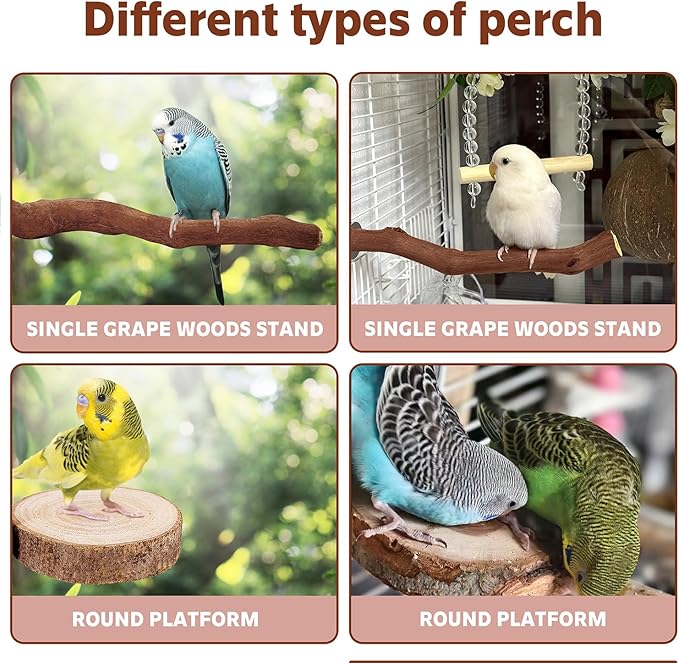 5PCS Bird Perch Stand Natural Wooden Parrot Stand Branch,3 Grape Wood Perch,2 Platform,Paw Grinding Fork Parakeet Chewing Stick Exercise Training Branches for Cockatiels,Small Birds-PawvioPets