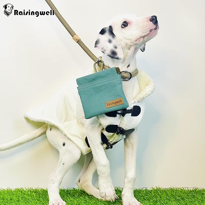 Dog Treat Pouch, Green Pocket Sized Pet Training Pouch, Cotton Fabric, Hand Free Dog Walking Bag with Carabiner, Self-Closing Pet Feed Snack Reward, for Puppy Travel or Outdoor Use-PawvioPets