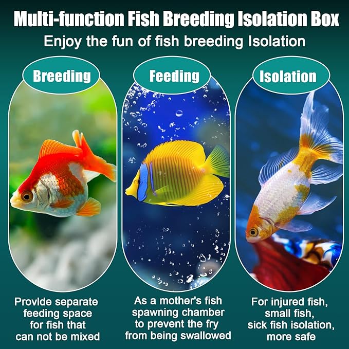 2 Pcs Breeder Box for Fish Tank Aquarium Breeder Separation Net Breeding Box with Suction Cup for Small Fish Shrimp Clownfish Guppy (White,L)-PawvioPets