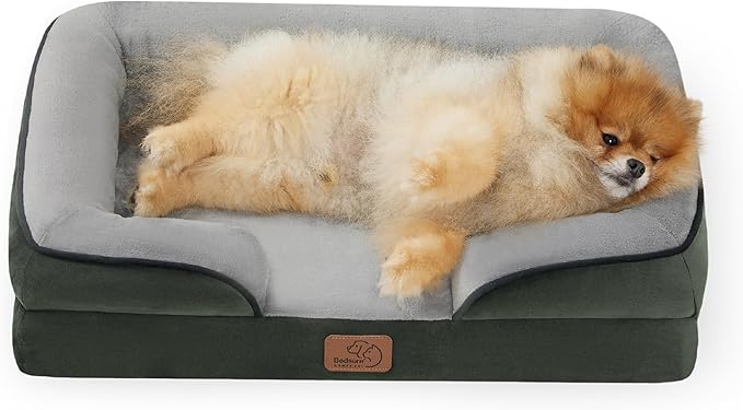 Bedsure Orthopedic Dog Beds for Small Dogs - Washable Small Dog Cat Bed Waterproof, Comfort Pet Couch Sofa with Washable Removable Cover, Pets Bed with Nonskid Bottom, Boreal Canopy Green, 24"-PawvioPets