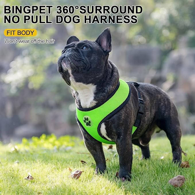 BINGPET No Pull Dog Harness, Soft Mesh Breathable All Weather Vest, Safety Protection Design, Durable Adjustable Step-in Easy Walk Dog Harness for Extra Large Dogs (Green, XL)-PawvioPets