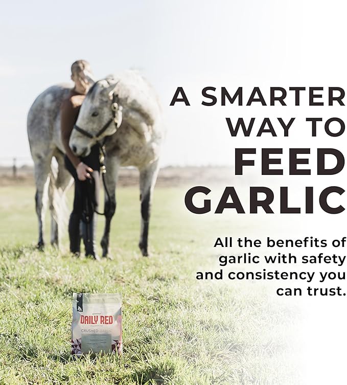 Daily RED Crushed Garlic - Mineral Supplement for Horses (25 LB Garlic)-PawvioPets