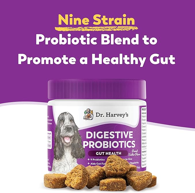 Dr. Harvey's Digestive Probiotic Soft Chews for Dogs, 7 Probiotics for Gut Health, Diarrhea and Bowel Support, Peanut Butter Flavor (90 Chews)-PawvioPets