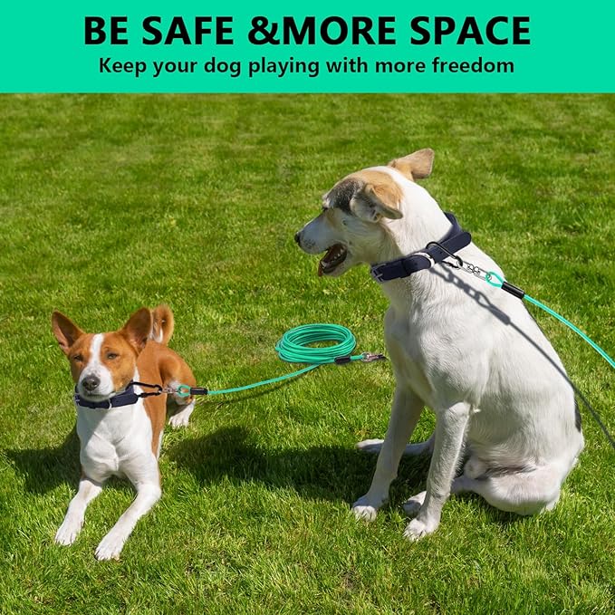 Dog Tie Out Cable 30FT-500Lbs,Heavy Duty Dog Leads Line for Yard with Swivel Hook,Medium Large Dogs Leash&Chains for Outside,Rust Chew Proof Dogs Run Cable for Outdoor Camping (Green Cyan, 30FT)-PawvioPets