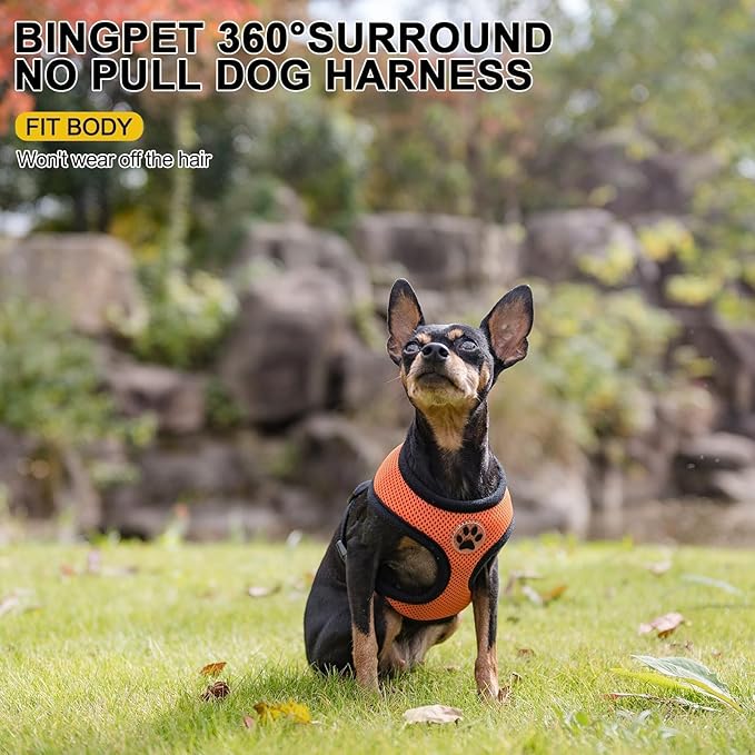 BINGPET No Pull Dog Harness,Soft Mesh Breathable All Weather Vest Harness,Safety Protection Design Durable Adjustable Step-in Easy Walk Dog Harness for Small Medium Large Dogs(Orange,XS)-PawvioPets