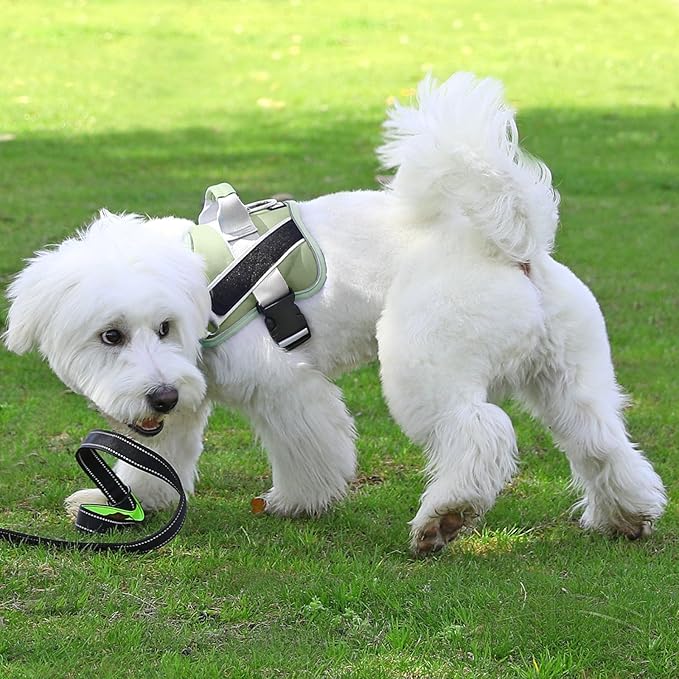 Bolux Dog Harness, No-Pull Reflective Dog Vest, Breathable Adjustable Pet Harness with Handle for Outdoor Walking - No More Pulling, Tugging or Choking-PawvioPets