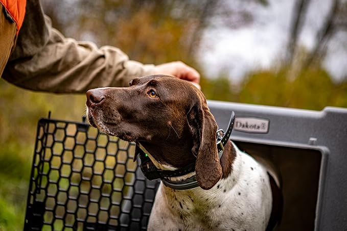 Dakota 283 Crate - Canine Rough and Tough Economy Kennel (Orange, Intermediate)-PawvioPets
