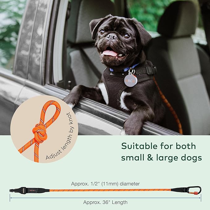 Dog Seat Belt for Car | Universal Dog Car Seatbelt | Durable Reflective Rope with Clip Hook Latch, Buckle and Carabiner- Safe and Secure Pet Safety Restraint (Orange)-PawvioPets