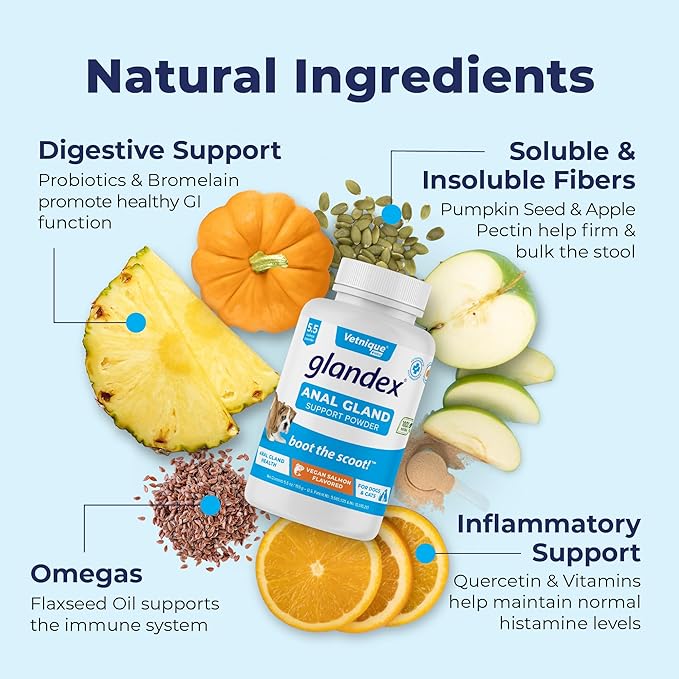 Glandex Dog Fiber Supplement Powder for Anal Glands with Pumpkin, Digestive Enzymes & Probiotics - Vet Recommended (Regular or Advanced Strength) - Boot The Scoot (5.5 oz, Vegan Salmon)-PawvioPets