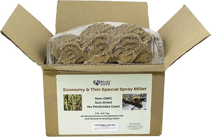 Birds LOVE Economy & Thin Special Spray Millet GMO-Free (No Stems Only Edible Tops) for Birds Cockatiel Lovebird Parakeet Finch Canary All Parrots Healthy Treat - 2lbs-PawvioPets
