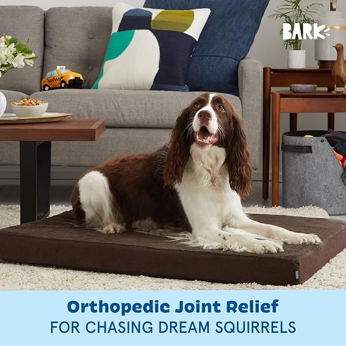 Barkbox Orthopedic Dog Bed with Memory Foam, Premium Comfort for Dogs and Puppies, Dog Bed for Joint Relief and Restful Sleep, Durable and Easy to Clean - Espresso, Large-PawvioPets