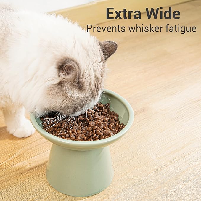 Extra Wide Elevated Ceramic Cat Bowl, 6.2" Shallow Dish for Whisker Fatigue Relief, 5" Height for Easy Feeding, Durable Raised Cat Food Bowls, Pack of 2, Sage Green-PawvioPets