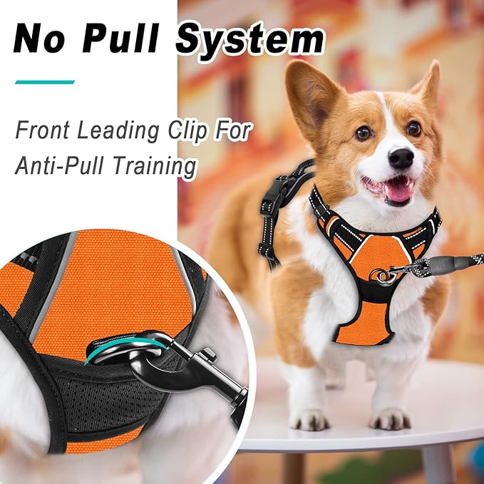 BARKBAY No Pull Dog Harness Large Step in Reflective Dog Harness with Front Clip and Easy Control Handle for Walking Training Running(Orange,M)-PawvioPets