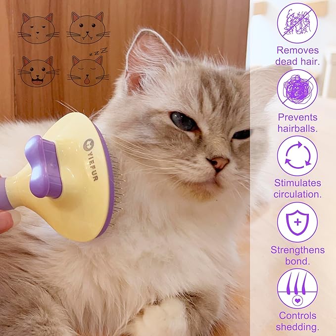 Cat Brush for Grooming and Shedding, Self-Cleaning Silicone Brush for Short and Long Haired Cats, Cat Gifts for Pet Lovers (purple)-PawvioPets