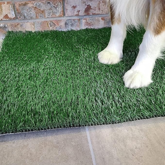 Dog Grass Pet Loo Indoor/Outdoor Portable Potty, Dog Litter Box, Artificial Grass Patch Bathroom Mat and Washable Pee Pad for Puppy Training, Full System with Trays (Pet Training Tray, 20"x16")-PawvioPets