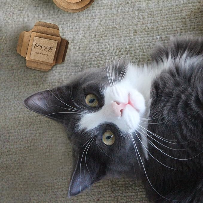 Cat Ball Toys by Americat – Made in USA – Safe Cardboard Cat Toys – for Interactive and Independent Play, Exercise & Stress Relief for All Breeds & Ages (Variety Pack of 3 Balls)-PawvioPets