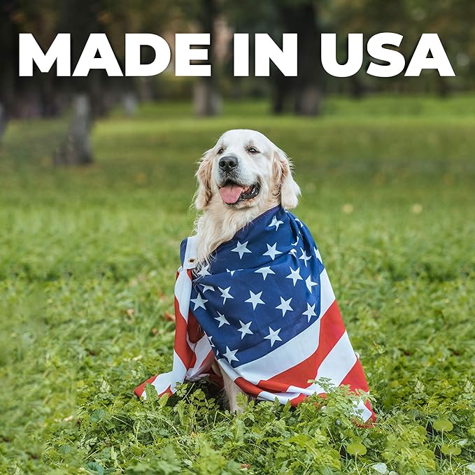 Forticept Maxi-Wash Hot Spot Spray Treatment, Wound Care & Itch Relief Spray for Dogs and Cats. Relives Scratching, Rashes, Sores, Itchy Skin and Paw Licking 8 oz-PawvioPets