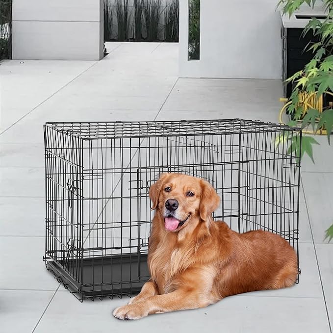 FDW Dog Crate for Large Dogs 48 Inch Folding Metal WirePet Cage Double Door W/Divider Panel Indoor Outdoor Kennel Leak-Proof Plastic Tray,Black-PawvioPets