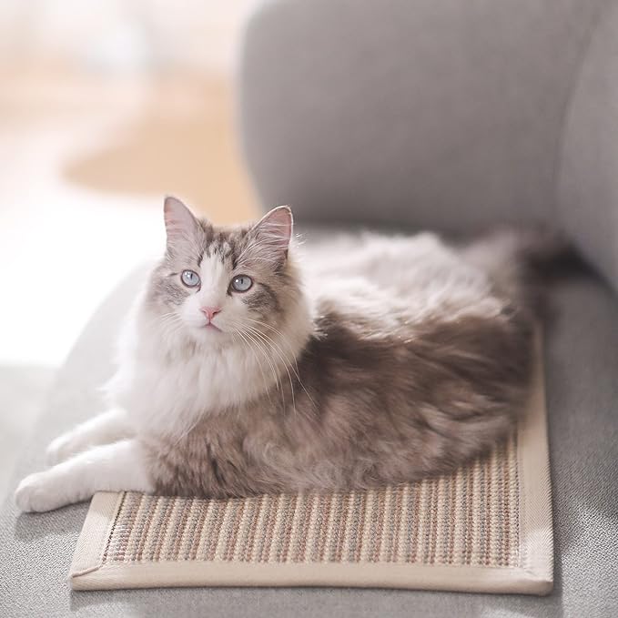 FUKUMARU Cat Scratcher Mat, 23.6 X 15.7 Inch Natural Sisal Cat Scratch Mats, Horizontal Cat Floor Scratching Pad Rug, Protect Carpets and Sofas (Cream - Thicken)-PawvioPets