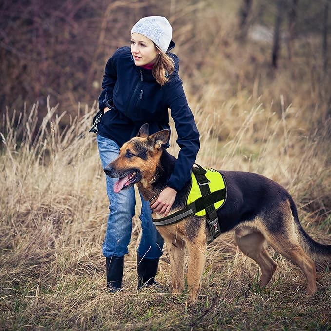 Dogline Dog Harness, Reflective No-Pull Adjustable Vest with Handle, Breathable No-Choke Harness for Small, Medium or Large Dogs Room for Patches Girth 15 to 18 in Lime Green-PawvioPets