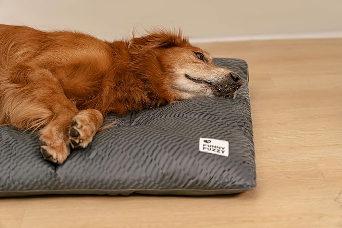 FUNNY FUZZY Washable Dog Bed,Reversible Plush Dog Crate Mat, Soft Fluffy Kennel Pad,Pet Sleeping Mattress for Jumbo,X-Large Sized Dogs Breeds,2XL,48"× 31",Grey-PawvioPets