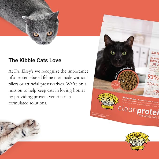 Dr. Elsey's Cleanprotein Salmon Formula Dry Cat Food, 6.6 Lb-PawvioPets