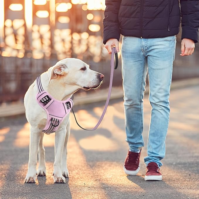BUMBIN Dog Harness for Large Dogs, No Pull Adjustable No Choke Pet Vest with Dog Leash Fit Smart Reflective Pet Walking Harness for Training Easy Control Soft Handle Pink L-PawvioPets