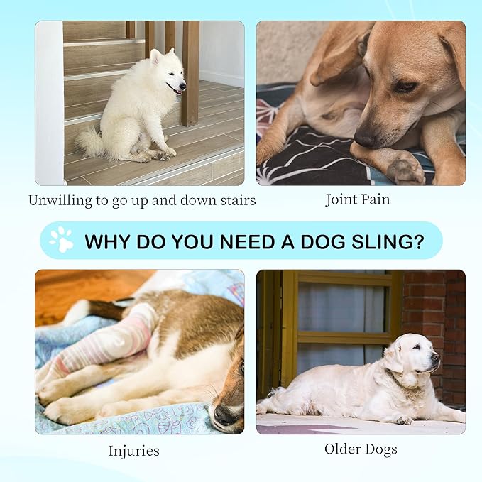 Dog Hip Support Brace – Rear Leg Lift Harness for Mobility & Post-Surgery Recovery, with Chest Straps and Adjustable Elastic Buckles, Customization-PawvioPets