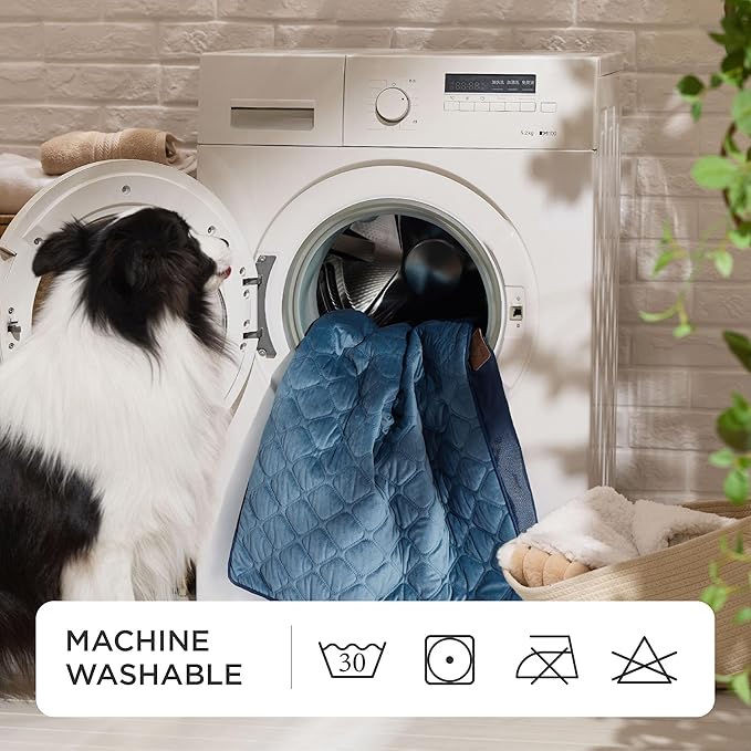 Bedsure Orthopedic Dog Bed for Medium Dogs - Flat Memory Foam Pet Mattress with Removable Washable Cover and Egg Crate Foam, Suitable for Pet Up to 35 lbs, 30x20x3 Inches, Navy-PawvioPets