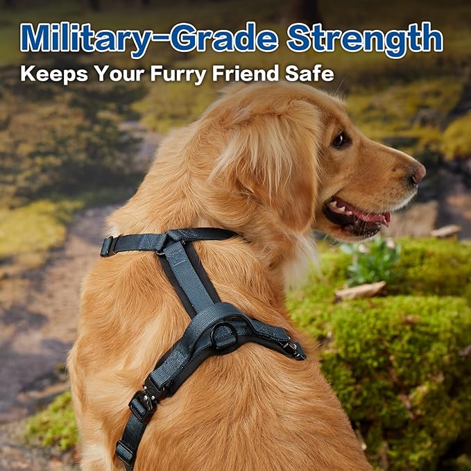 CLEPAWS Dog Harness for Small Dogs, No Pull Dog Harness Easy Walk with Metal Hardware, Ergonomic Y-Shaped Design, Soft Padding, Padded Handle, Durable High-Tensile Nylon (Nightfall, S)-PawvioPets