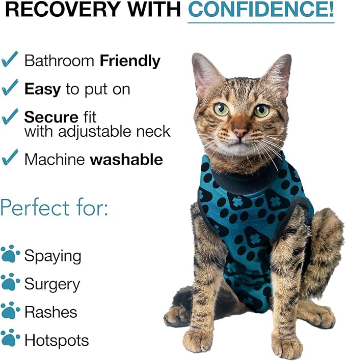 Bellyguard Cat Recovery Suit Female and Male, Comfy Onesie After Surgery, Kitten Clothes for Post-Op Care, Neuter and Spay Healing Outfits for Cats Only – Comfortable Kitten and Adult Cone Alternative-PawvioPets
