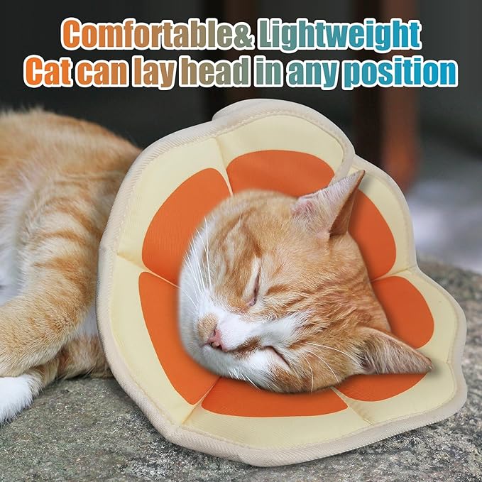 Cat Cone Collar Soft, Adjustable Cat Recovery Collar to Stop Licking After Surgery Protective E Collar for Cats Small Dogs, Orange M-PawvioPets