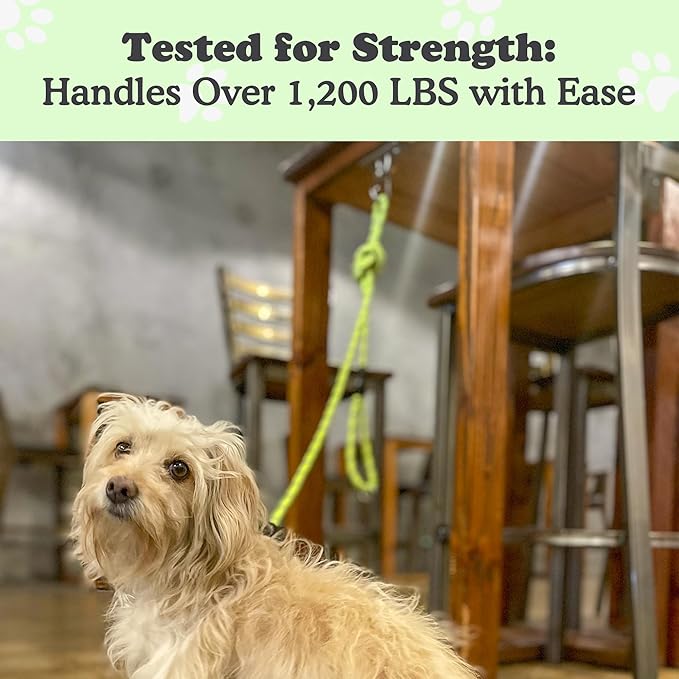 Canine Hitch- Secure Dog Leash Parking Mounted Indoor – Outdoor Wall Hook - Tie Out Stainless Steel Practical Lead Management for Home & Business, Slim Compact 6 Pack-PawvioPets