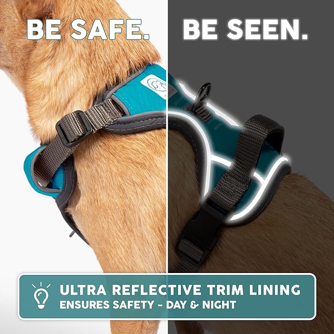 Embark Adventure Dog Harness, Easy On and Off with Front and Back Leash Attachment Points & Control Handle - No Pull Training, Size Adjustable and No Choke (Small - Teal Blue)-PawvioPets