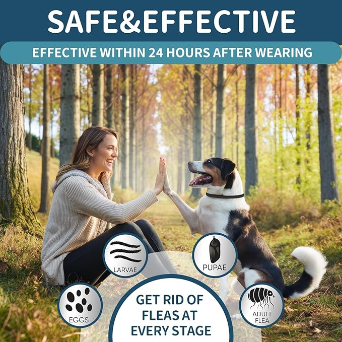 Flea and Tick Collar for Dogs 4 Pack, 32 Months Prevention, Waterproof, Adjustable for Small Medium Large Dogs Puppies (Black and Grey)-PawvioPets