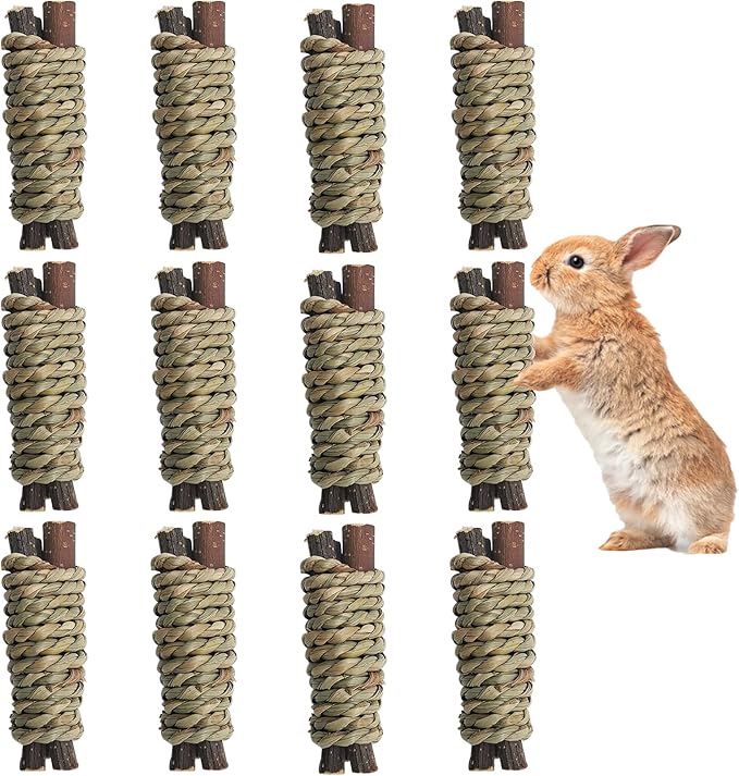 Fhiny 12 PCS Guinea Pigs Chew Toys, Natural Apple Branch Seagrass Molar Sticks for Teeth Bunny Chew Toys Cage Accessories for Guinea Pigs Rabbit Bunny Hamster Chinchilla-PawvioPets