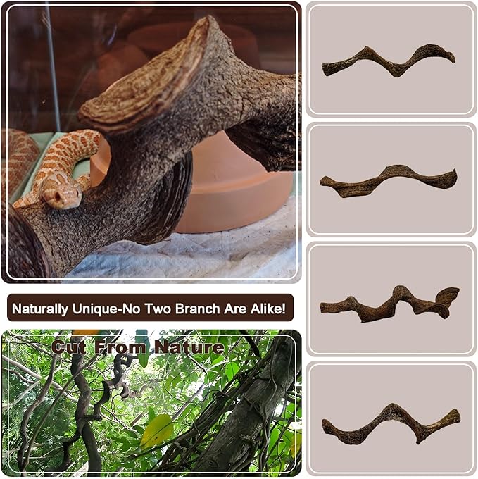 BNOSDM 3 Pcs Reptile Climbing Branches Decor,Snake Climbing Branch,Gecko Climb Wood,Lizard Forest Branch,Tank Habitat Tree Trunk Decorations for Bearded Dragons,Chameleons,Spider,Frogs (S)-PawvioPets